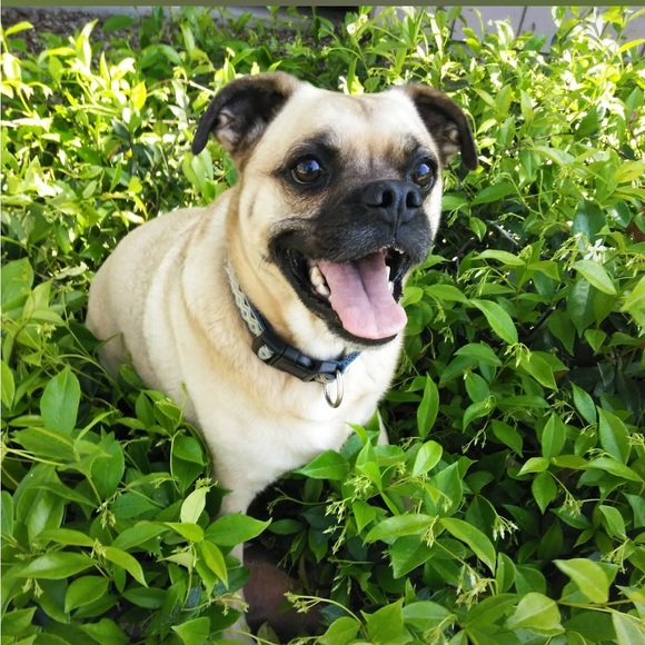 Meet your Posher, Lydia - Picture 7 of 9